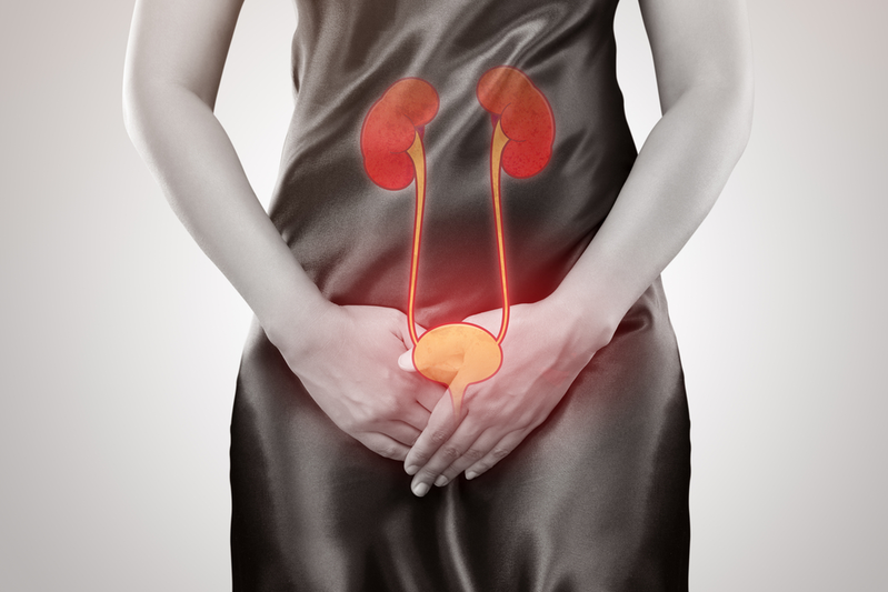diagram of urinary tract overlaid on woman holding pelvic area