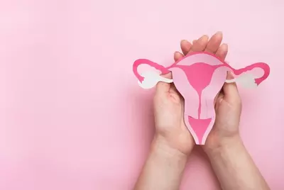 woman's hands holding diagram of uterus and ovaries